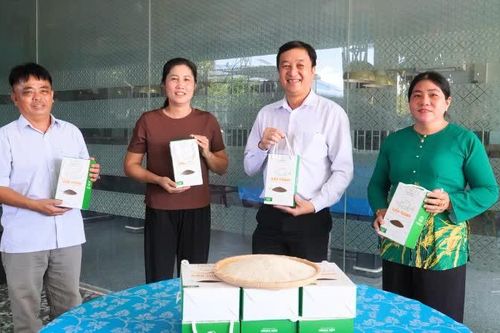 Cần Thơ: Phụ nữ góp sức đưa lúa phát thải thấp vào thực tế sản xuất