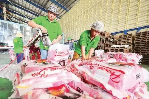 Thách thức hoàn thành mục tiêu xuất khẩu gạo