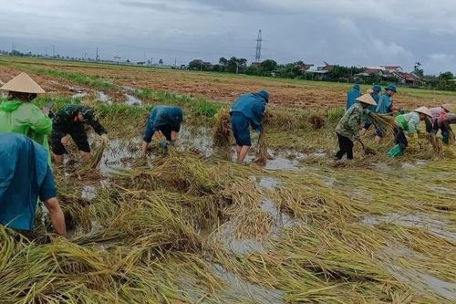 Đắk Lắk chủ động ứng phó, khắc phục hậu quả mưa lớn, ngập lụt, lũ quét, sạt lở đất