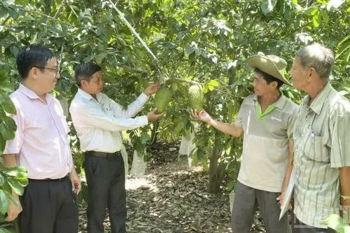 Nâng cao chất lượng nông sản đáp ứng yêu cầu thị trường tỷ dân