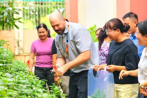 Trường học bảo đảm an toàn hệ thống cây xanh trong mùa mưa bão