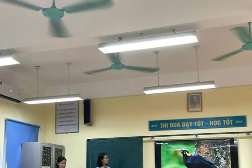Bước chuyển trong giáo dục tiểu học khi ứng dụng công nghệ số và AI