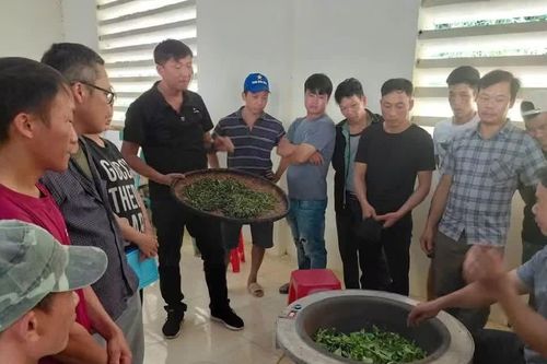 Đào tạo nghề gắn với thực tế sản xuất cho người dân vùng cao