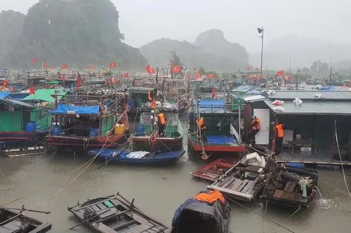 Tuyệt đối không cấp phép rời cảng, bến cho phương tiện khi không đảm bảo an toàn