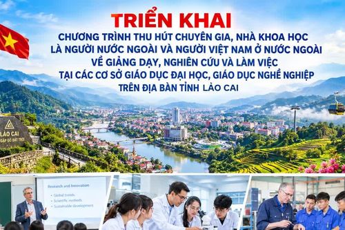 Lào Cai tăng cường thu hút chuyên gia, nhà khoa học phục vụ phát triển nguồn nhân lực