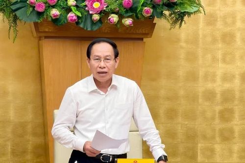 Xây dựng phương án tổng thể để xử lý tình trạng thừa, thiếu giáo viên