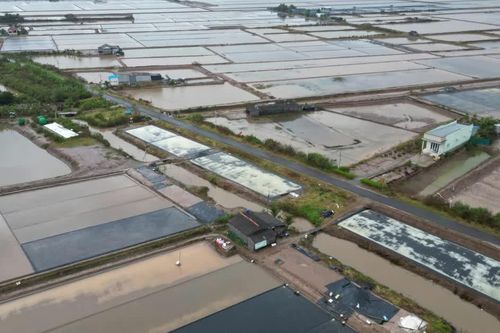 Kiến nghị chuyển hồ sơ sang công an vụ cho thuê đất công ở Cà Mau