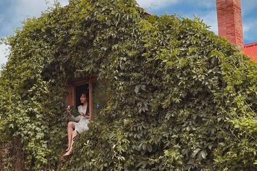 Nàng dâu Ninh Bình mê mẩn khu vườn đẹp như cổ tích của bố mẹ chồng ở Canada