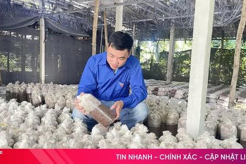 Tiếp sức cho thanh niên Hà Tĩnh lập nghiệp từ nguồn vốn vay ưu đãi