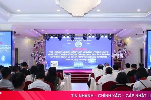 Trang bị kỹ năng bảo hộ, khai thác quyền sở hữu công nghiệp cho doanh nghiệp, cán bộ xã, phường