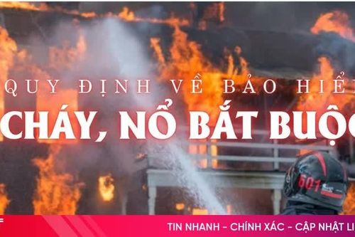 [Motion graphic] Quy định về bảo hiểm cháy, nổ bắt buộc