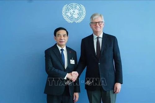 Liên hợp quốc ủng hộ Việt Nam mở rộng tham gia hoạt động gìn giữ hòa bình