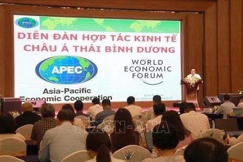 Trang bị hệ thống kiến thức chuẩn xác và có chiều sâu về APEC