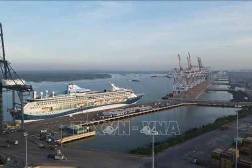 Giao 49 ha vùng biển để nhận chìm chất nạo vét luồng Vũng Tàu - Thị Vải