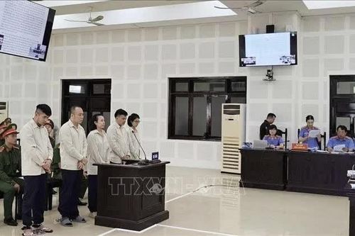 Xét xử vụ lừa đảo chiếm đoạt tài sản của hơn 7.000 người bị hại