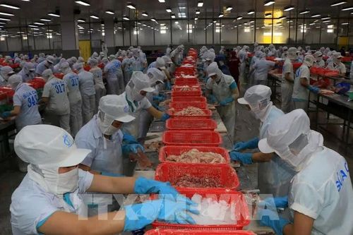 Phát triển chế biến sâu, tạo động lực tăng trưởng ngành thủy sản