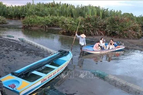Du lịch rừng dừa nước Tịnh Khê 'thấp thỏm' theo thủy triều