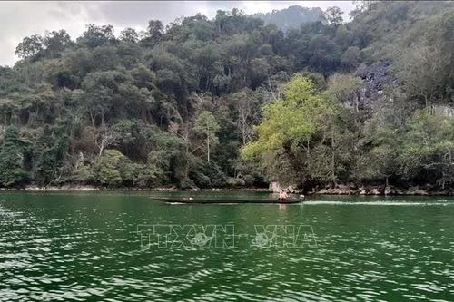Siết chặt quản lý, bảo vệ hơn 10.000 ha rừng tại Vườn Quốc gia Ba Bể