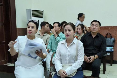 Dừng phiên tòa vụ chia di sản của cố nghệ sĩ Vũ Linh vì xuất hiện tình tiết mới