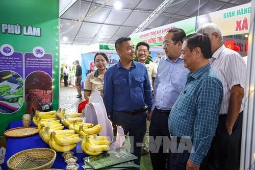 Tây Ninh có 600.000 ha đất nông nghiệp, làm gì để tăng giá trị?