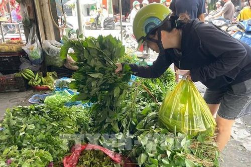 Giá rau tăng mạnh sau mưa lớn kéo dài