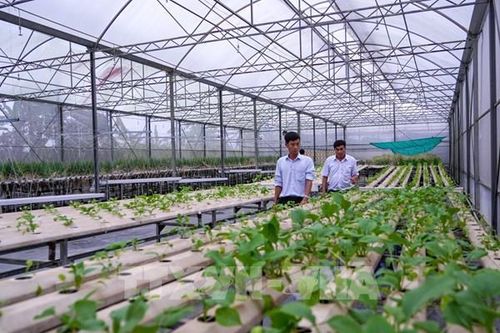 Nghị quyết 57-NQ/TW thúc đẩy doanh nghiệp đổi mới công nghệ