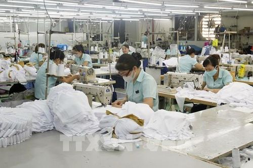 Nhiều giải pháp xử lý tình trạng nợ đọng bảo hiểm xã hội, bảo hiểm y tế