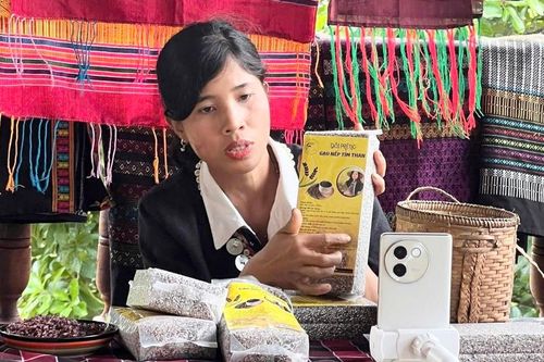 Phụ nữ vùng cao ứng dụng AI để bán hàng