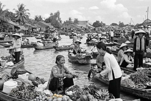 'Cho nhiêu cho'