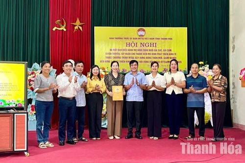 Tập huấn truyền thông XDNTM gắn với phát triển mô hình chăn nuôi