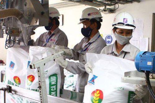 Xuất khẩu phân bón 8 tháng tăng mạnh, nhập khẩu giảm sâu