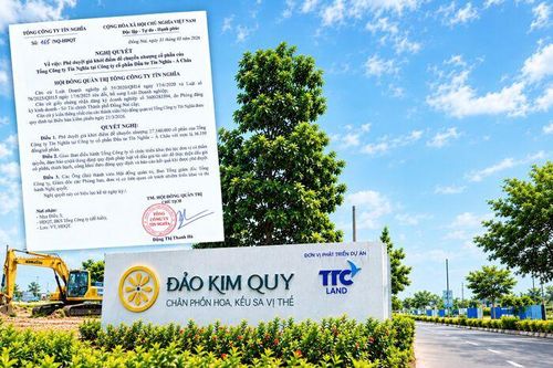 Tín Nghĩa chào giá hơn 1.000 tỷ đồng cho 27,54 triệu cổ phần tại chủ đầu tư Đảo Kim Quy