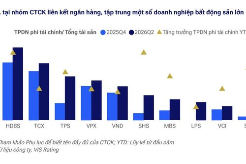 Nhu cầu vay margin cá nhân thấp, rủi ro khi công ty chứng khoán tập trung tín dụng ở vài khách hàng lớn