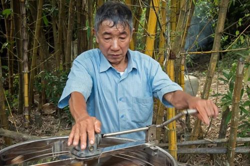 FAO chọn mật ong Việt Nam vào chương trình 'Mỗi quốc gia một sản phẩm ưu tiên'