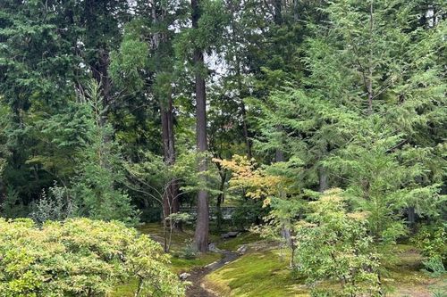 Chậm lại giữa những thanh âm cổ kính ở phía tây nam Kyoto