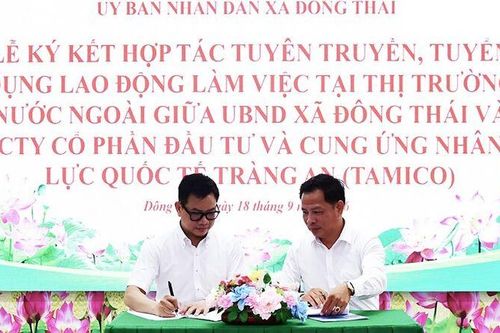 Kết nối việc làm, mở thêm sinh kế