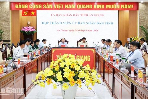 An Giang thống nhất chủ trương mở 9 điểm neo đậu, bốc dỡ thủy sản tạm thời