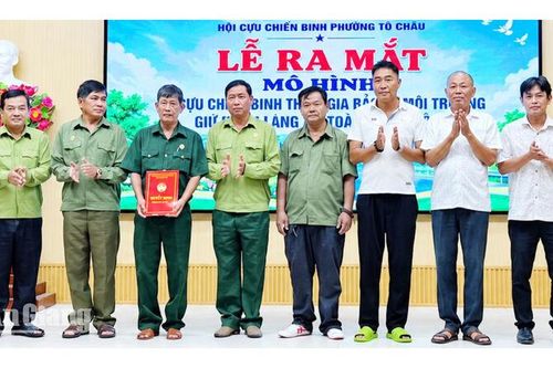 Gần 50 cựu chiến binh Tô Châu tham gia giữ môi trường, hành lang giao thông