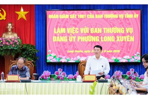 Tỉnh ủy An Giang giám sát công tác cán bộ tại phường Long Xuyên