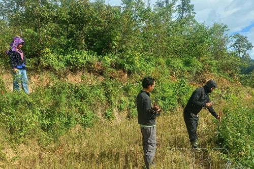 Đẩy nhanh tiến độ đo đạc, xây dựng cơ sở dữ liệu đất đai