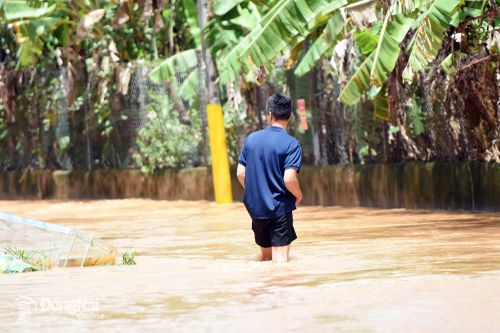 Nước sông Buông dâng cao, khu dân cư tại phường Phước Tân tiếp tục bị ngập