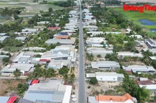 Tân Hộ Cơ: Xây dựng Đảng gắn với tổ chức lại bộ máy