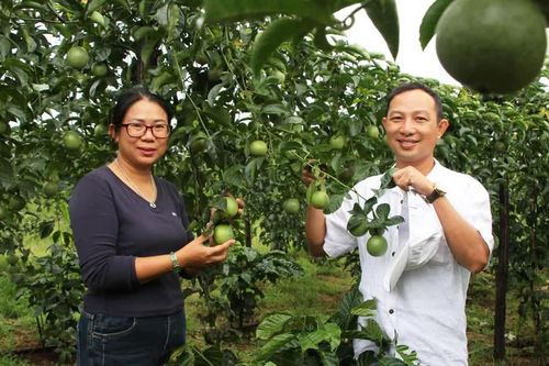 Từ kỹ sư hóa dầu thành nông dân Việt Nam xuất sắc