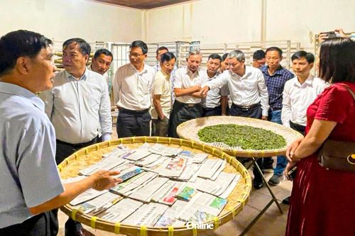Xã Ninh Sơn: Hướng đi mới cho nghề trồng dâu nuôi tằm