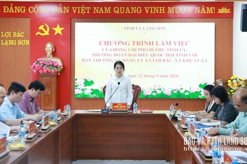 Đồng chí Phó Bí thư Tỉnh uỷ làm việc với Ban Thường vụ Đảng uỷ các xã Lợi Bác và Khuất Xá
