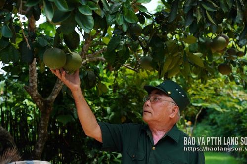 Ông Ngọc làm kinh tế giỏi