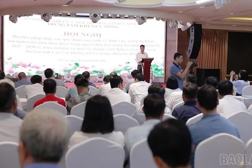 Tập huấn phổ biến chính sách phát triển sản xuất nông nghiệp và quy định về khuyến nông