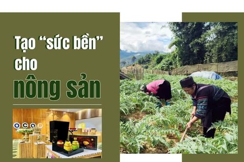Tạo “sức bền”cho nông sản