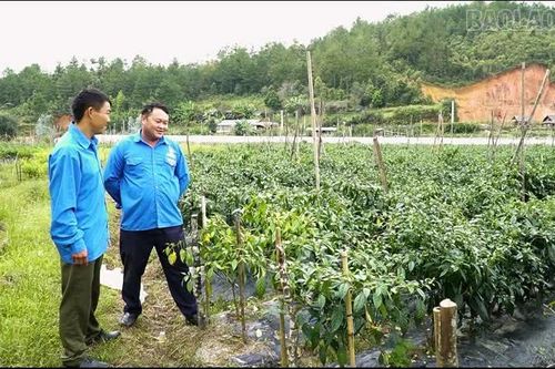Thanh niên Púng Luông khát vọng lập nghiệp trên quê hương