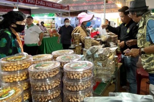 Thăng hạng OCOP nâng giá trị hạt điều vùng xa